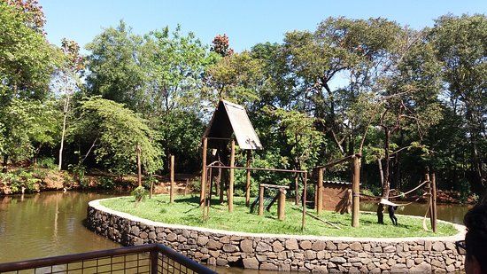 Zoológico Municipal de Piracicaba